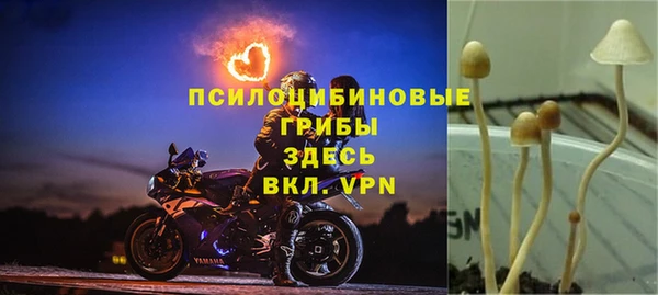 бутик Дмитриев