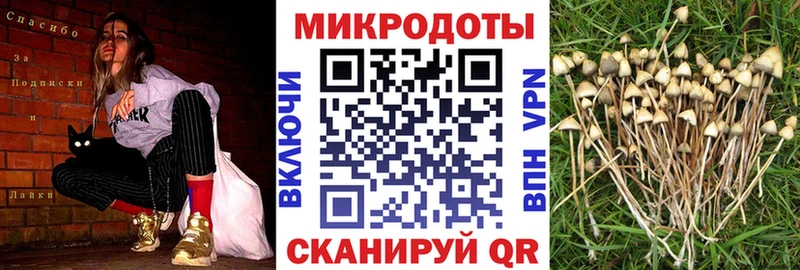 Купить где  Новопавловск  Галлюциногенные грибы мицелий 